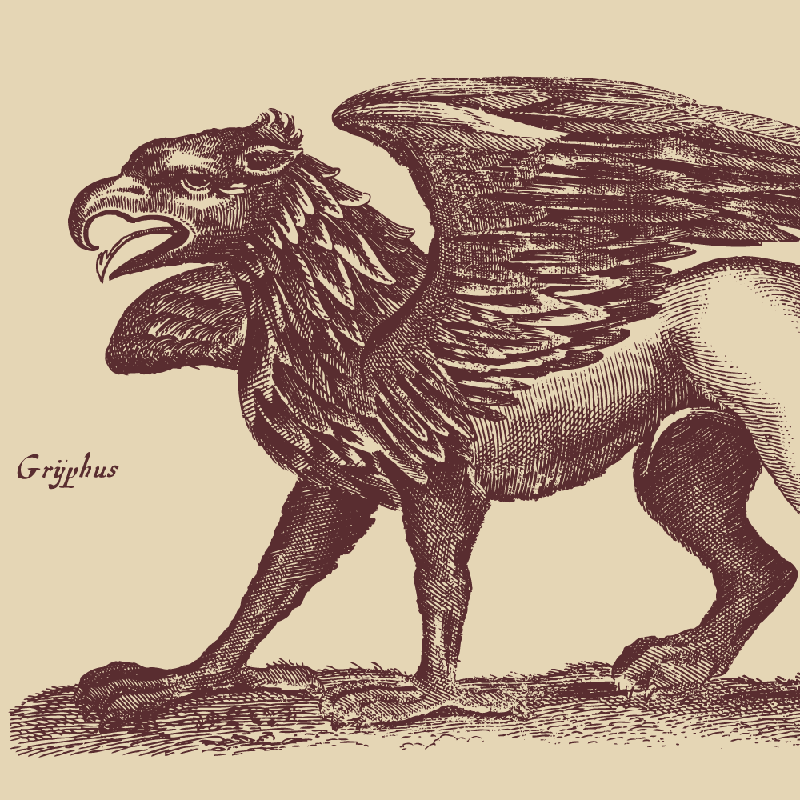 Griffin 60×40