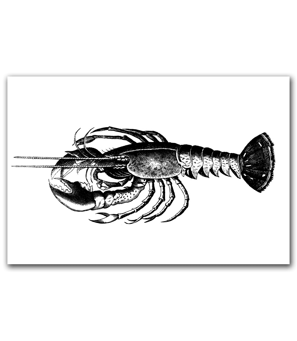 Lobster 60×40
